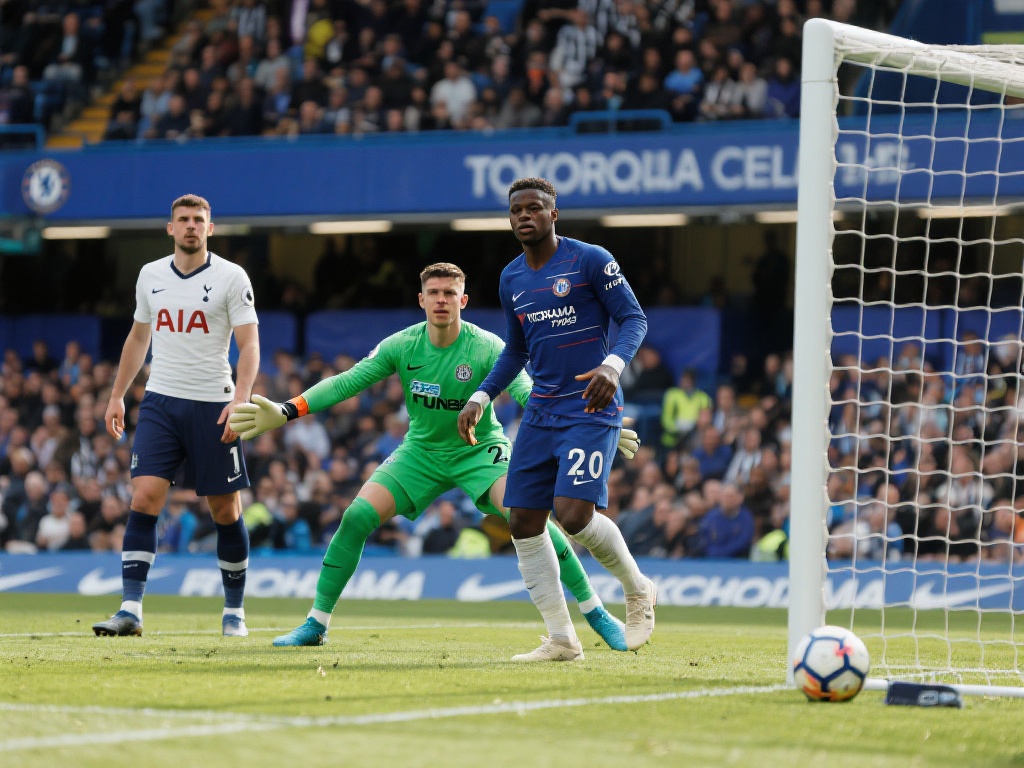 我在其他平 我在其他平